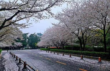 四月，武漢將有序恢復對外交通