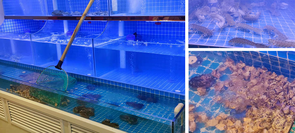 餐飲外賣小程序 餐飲外賣小程序